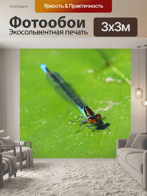 Фотообои синие стрекозы