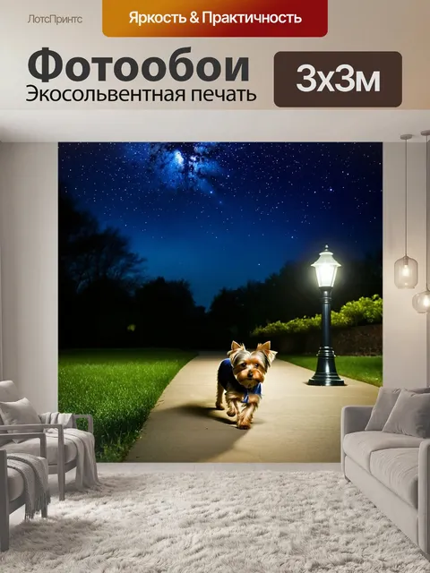 Фотообои ночной пейзаж в парке, где йоркширский терьер гуляет по тропинке, освещаемой фонарями