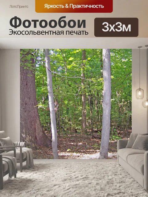 Фотообои Вудс