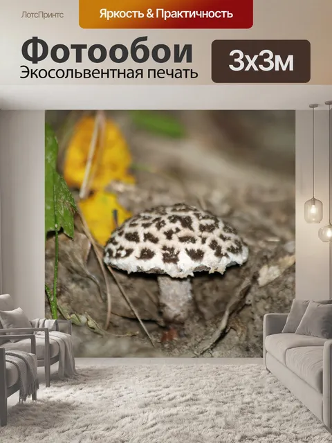 Фотообои Старик из лесного гриба