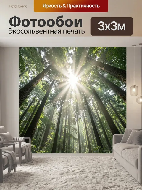 Фотообои Солнечные лучи в лесу