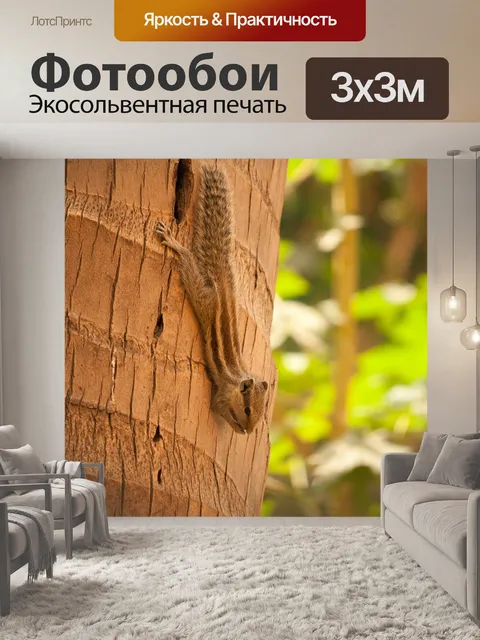 Фотообои Белка