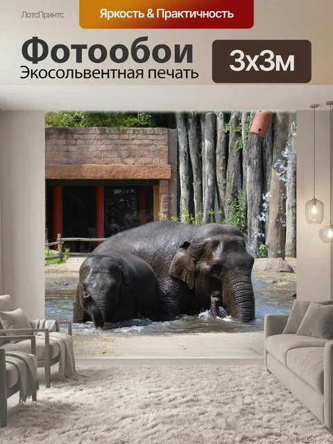 Фотообои В ванне со слонами 05