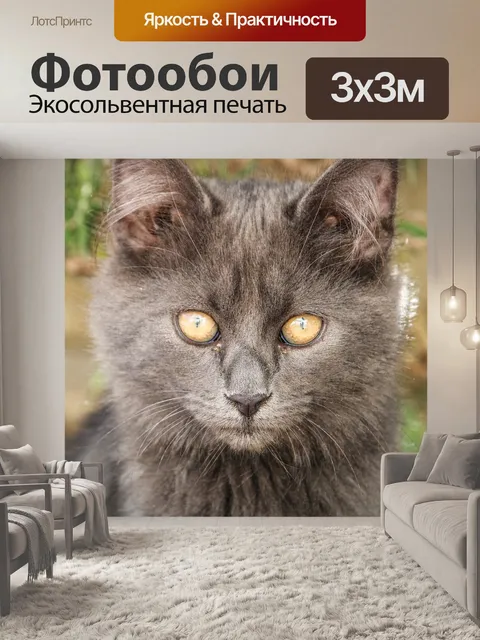 Фотообои Кошачьи глаза