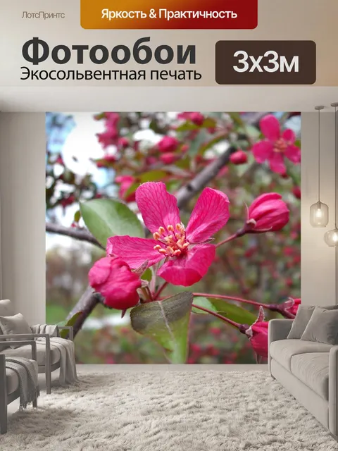 Фотообои Яблони