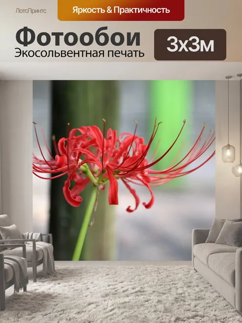 Фотообои Ботаник