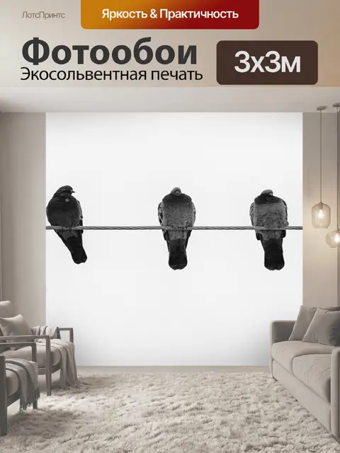 Фотообои Птицы