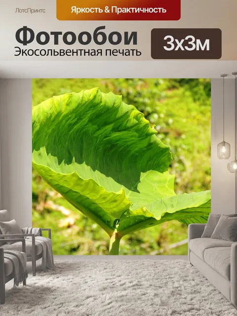 Фотообои Природа