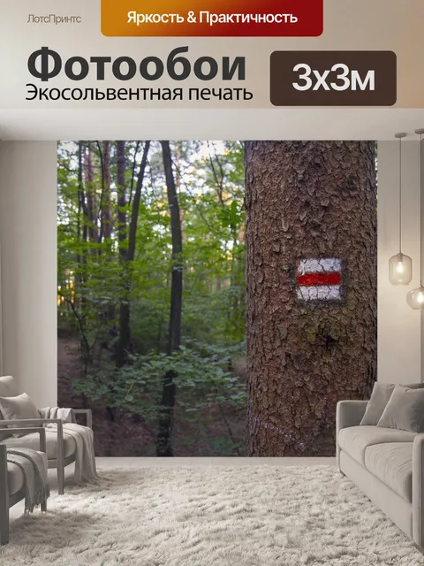 Фотообои Туристическое направление петь