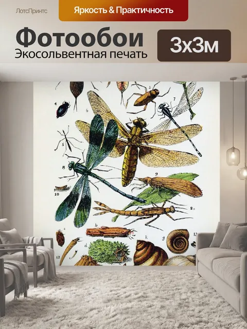Фотообои Стрекоза улитка жук винтаж