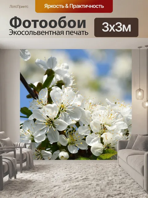 Фотообои Белые цветки
