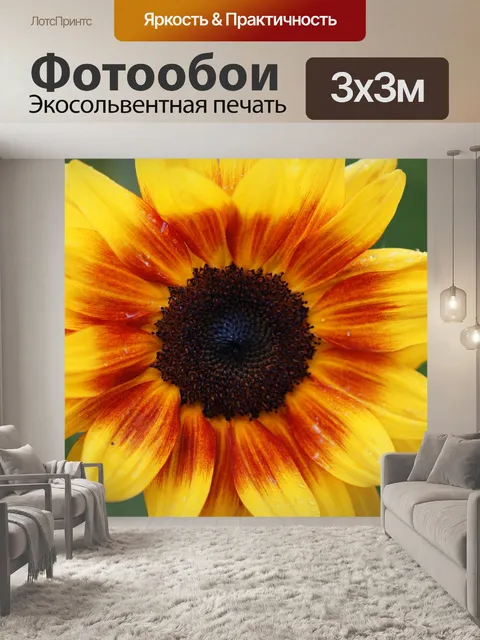 Фотообои Подсолнечник желтый оранжевый