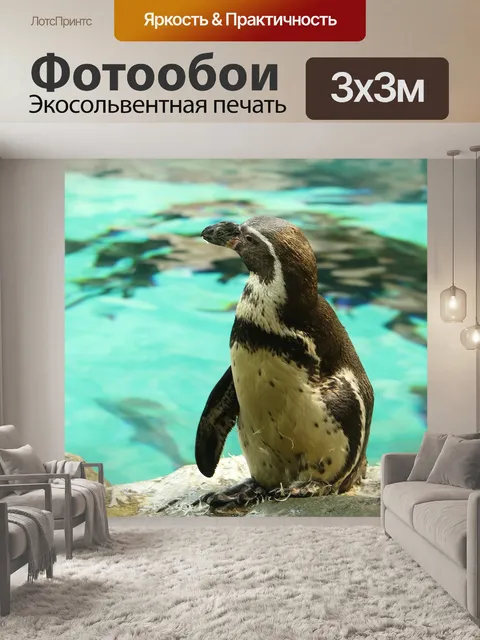 Фотообои Пингвин