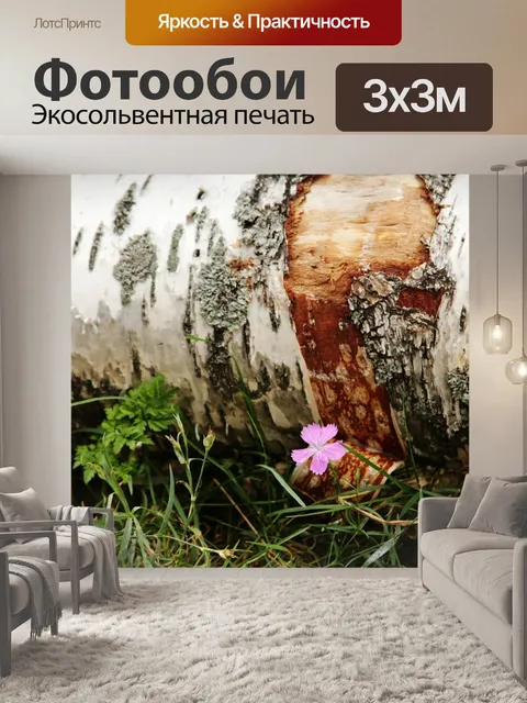 Фотообои Береза