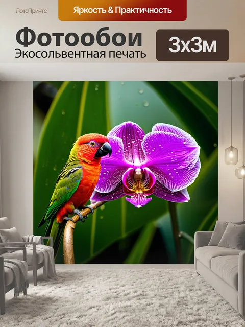 Фотообои представьте мускусного лорикета, сидящего на ослепительно сверкающей орхидее, окруженным каплями росы