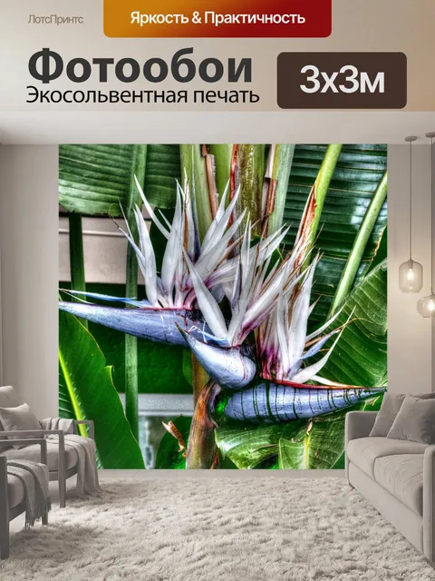 Фотообои Райская птица