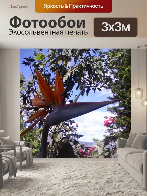 Фотообои Райская птица цветок