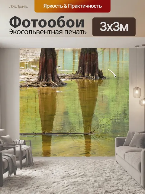 Фотообои Размышления