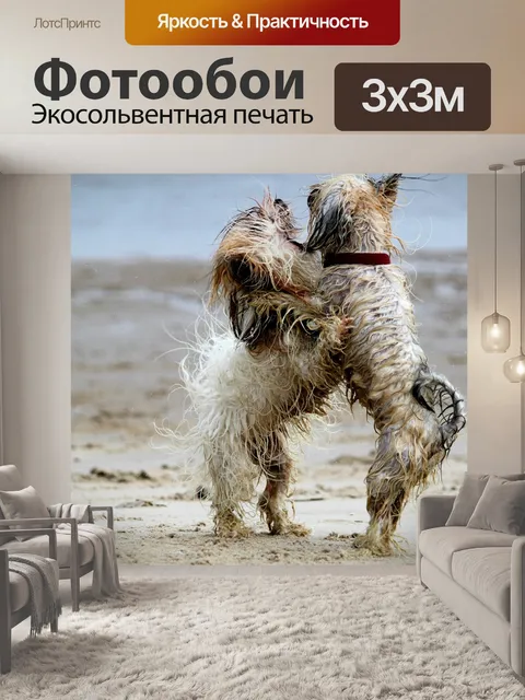 Фотообои Собаки