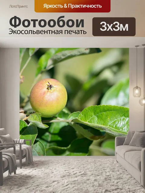 Фотообои Яблоко