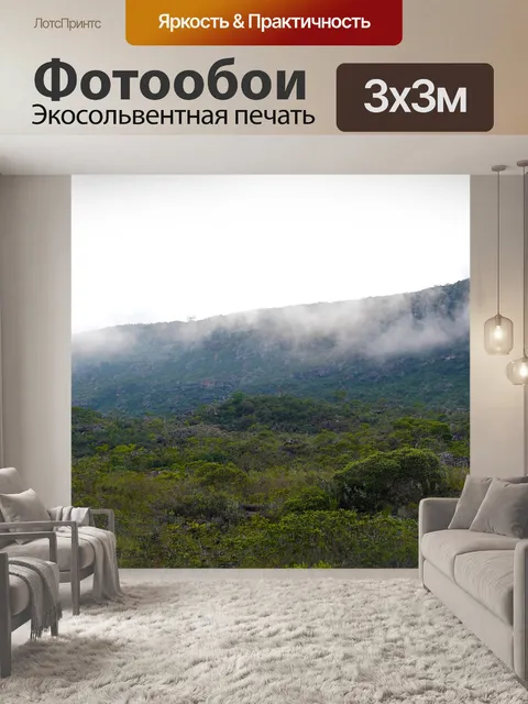 Фотообои Туман