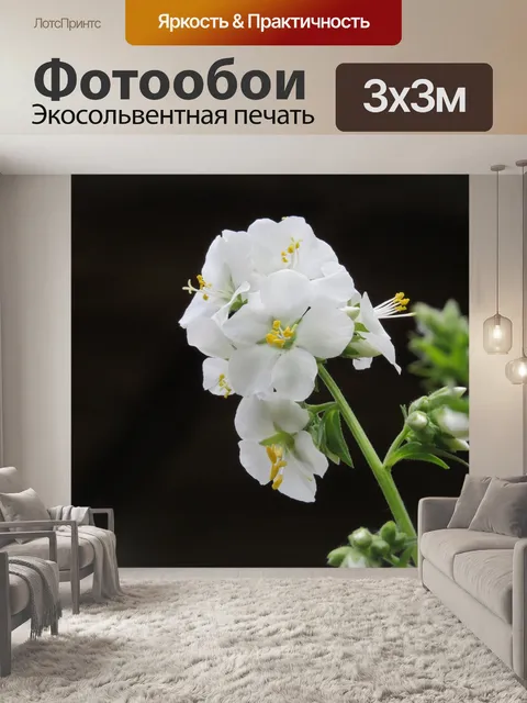 Фотообои Небесная лестница