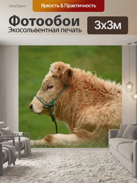 Фотообои Бык