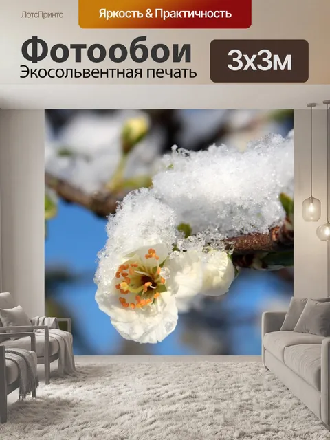 Фотообои Цветок сливы