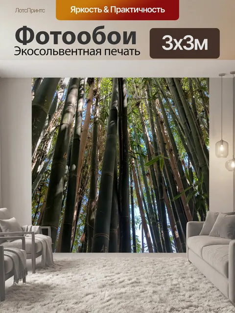 Фотообои Бамбуковый лес