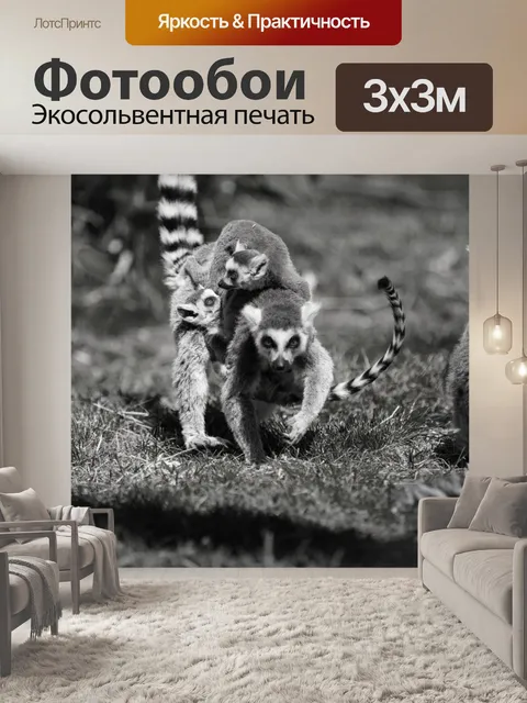Фотообои Кошачий лемур