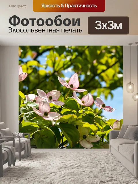Фотообои Цветы