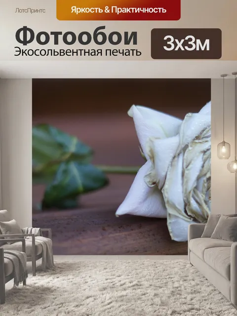 Фотообои Роза