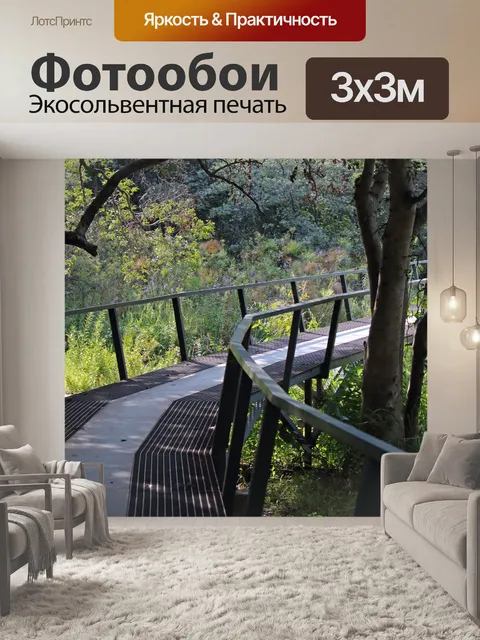 Фотообои надземный переход через речной район