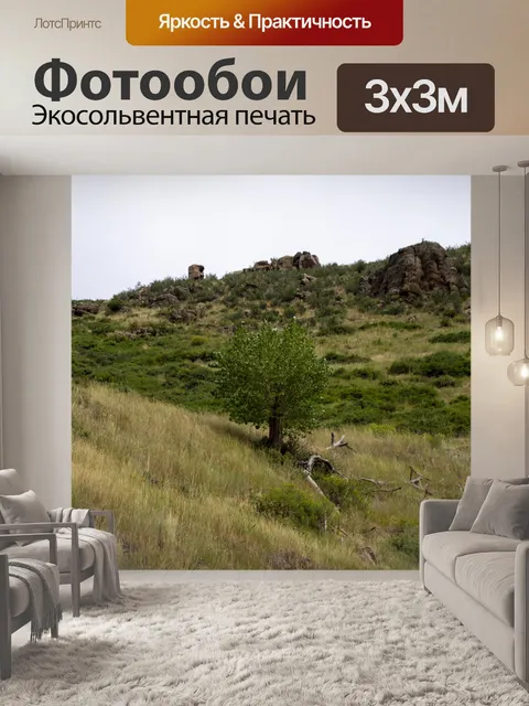 Фотообои дерево