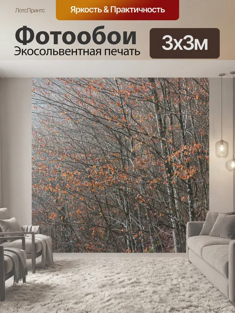 Фотообои Капля дождя