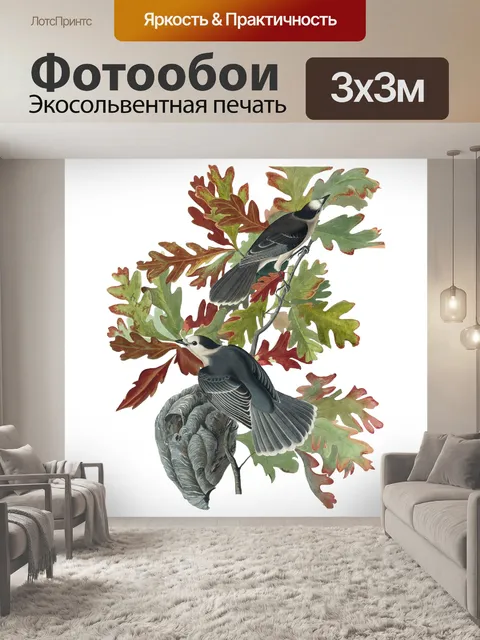 Фотообои Птицы Corvus Vintage старые