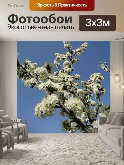 Фотообои Небо
