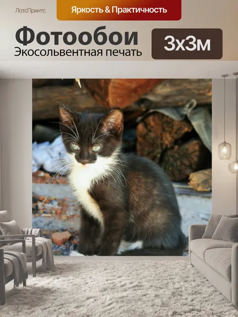 Фотообои сладкий котенок