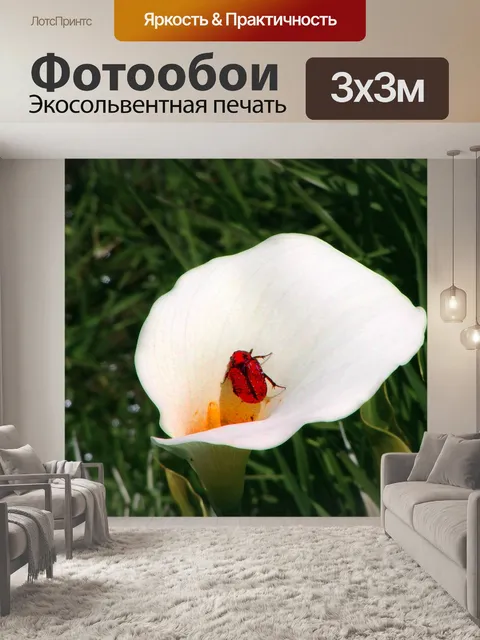 Фотообои Живопись лилии и жуков
