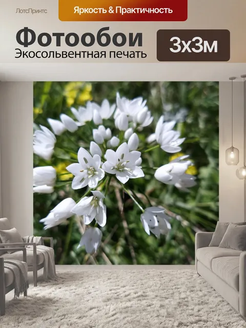 Фотообои Цветы