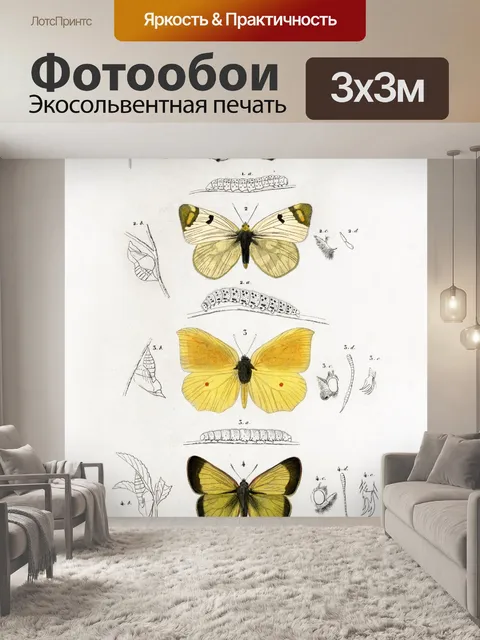 Фотообои Бабочки Винтаж плакат искусство