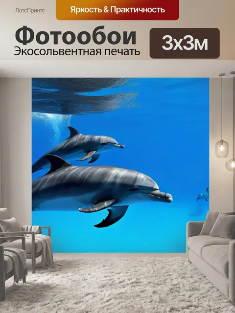 Фотообои морской питомник с дельфинами