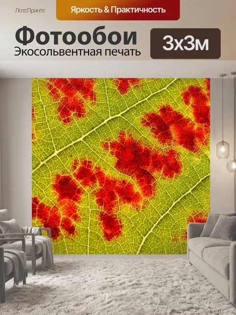 Фотообои Осенние листья лист обесцвеченный макрос