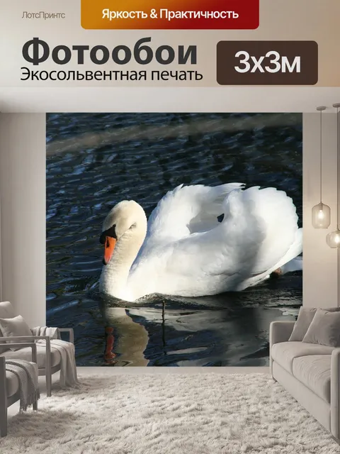 Фотообои Лебедь