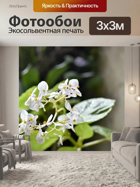 Фотообои Белые цветы размытый фон