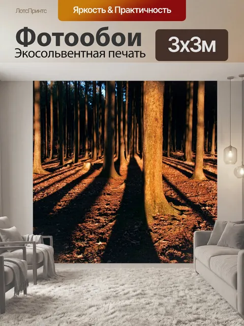 Фотообои Лес