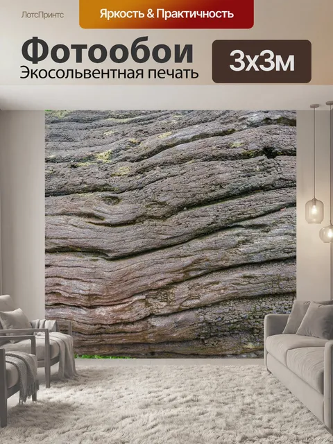 Фотообои Заделывают мертвого ствола дерева