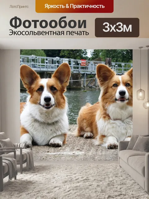 Фотообои Собака