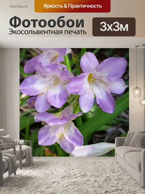 Фотообои Лиловый