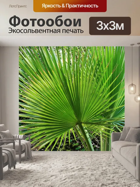 Фотообои листья веерной пальмы